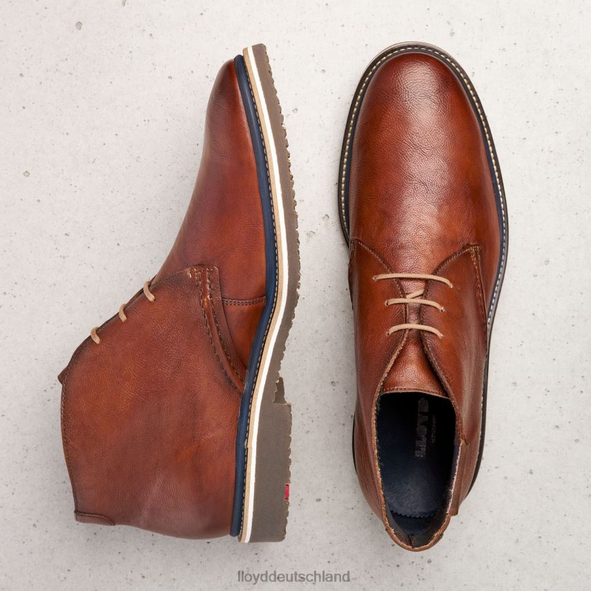 Schuhe LLOYD norko braun Männer PV6Z0554