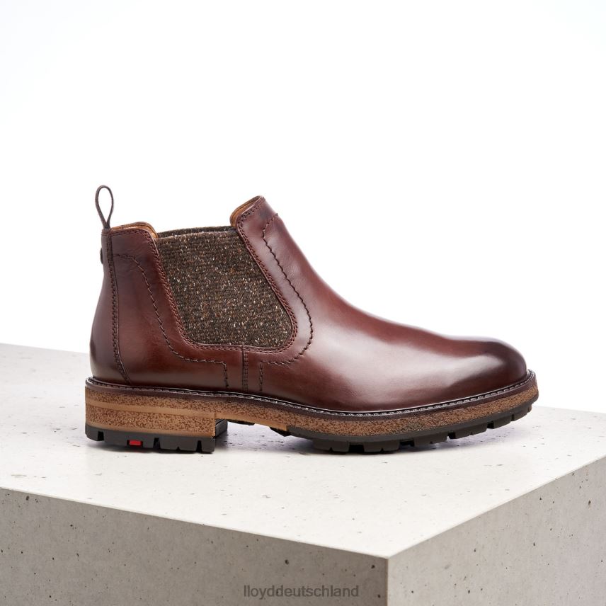 Schuhe LLOYD odem braun Männer PV6Z0532