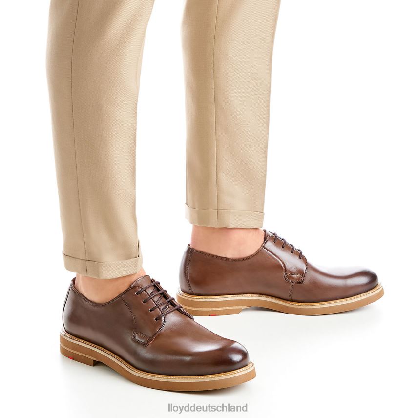 Schuhe LLOYD ok braun Männer PV6Z077