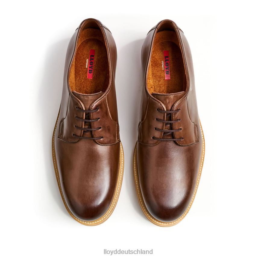 Schuhe LLOYD ok braun Männer PV6Z077
