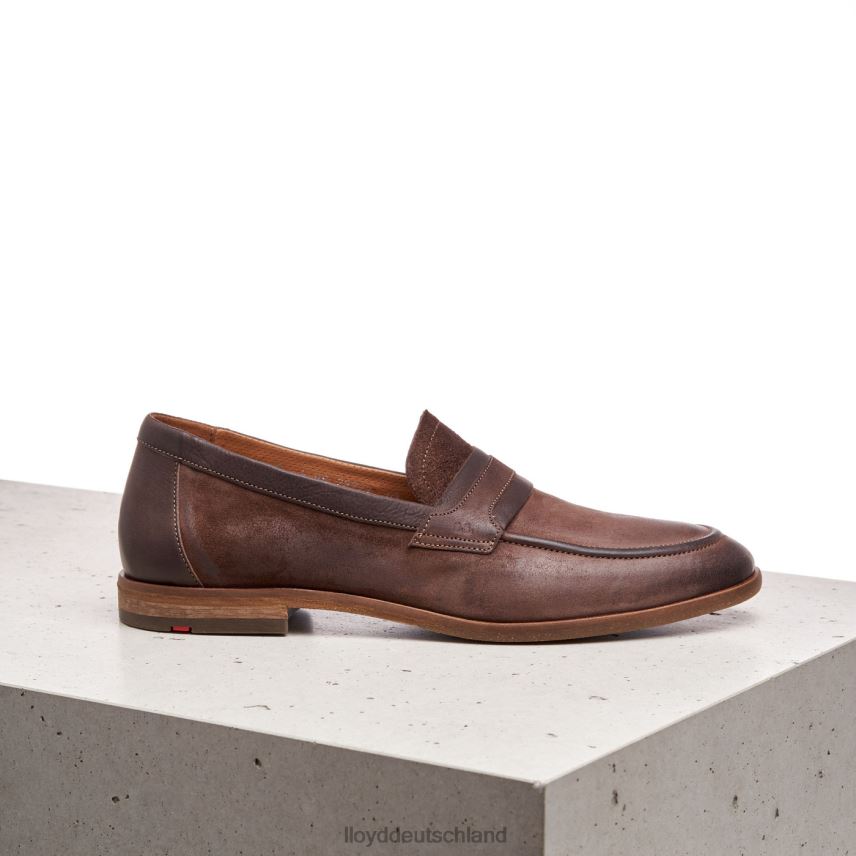 Schuhe LLOYD oktant braun Männer PV6Z01346