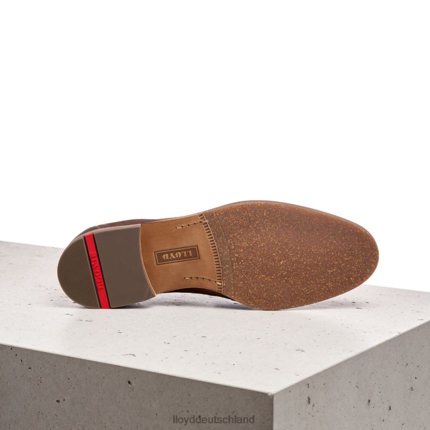Schuhe LLOYD oktant braun Männer PV6Z01346