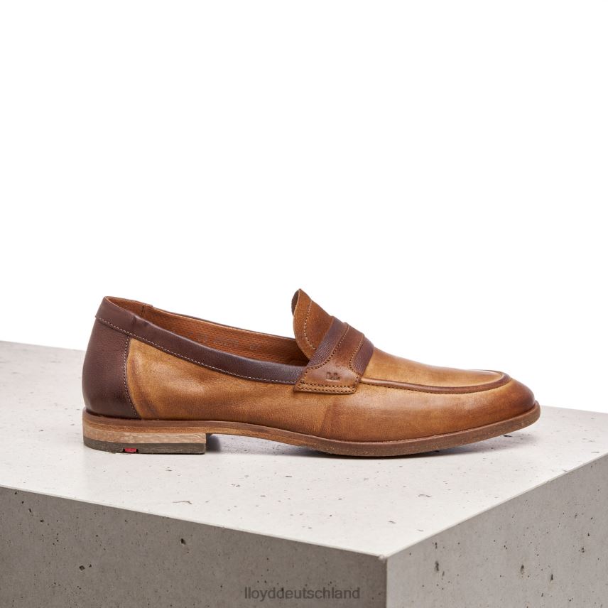 Schuhe LLOYD oktant braun Männer PV6Z0604