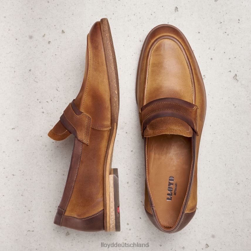 Schuhe LLOYD oktant braun Männer PV6Z0604