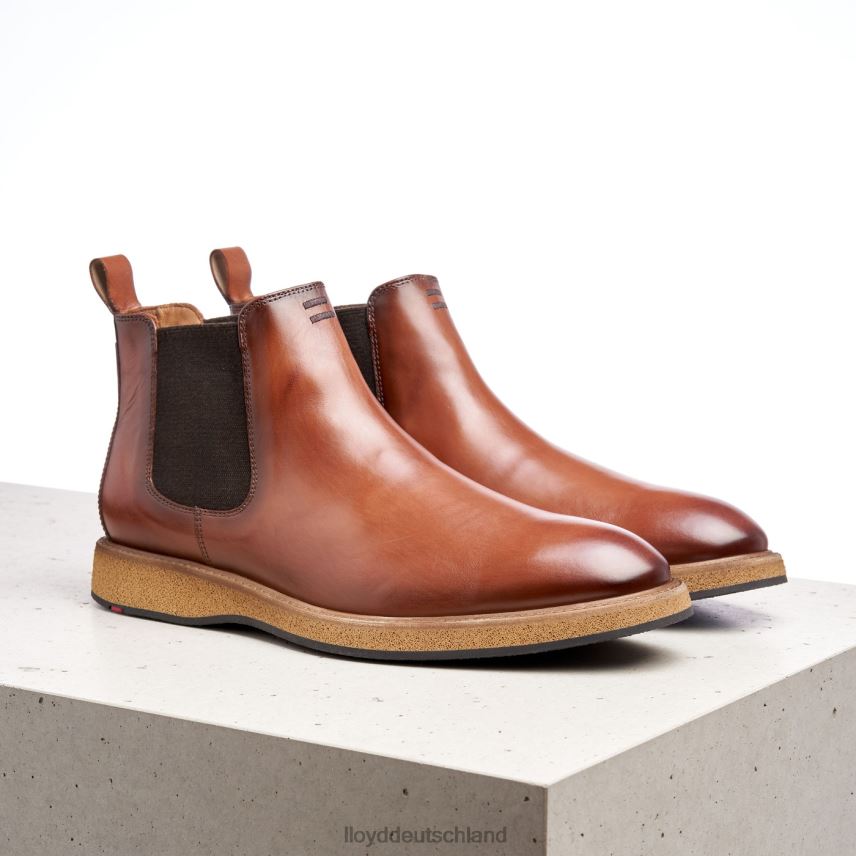 Schuhe LLOYD oris braun Männer PV6Z0558