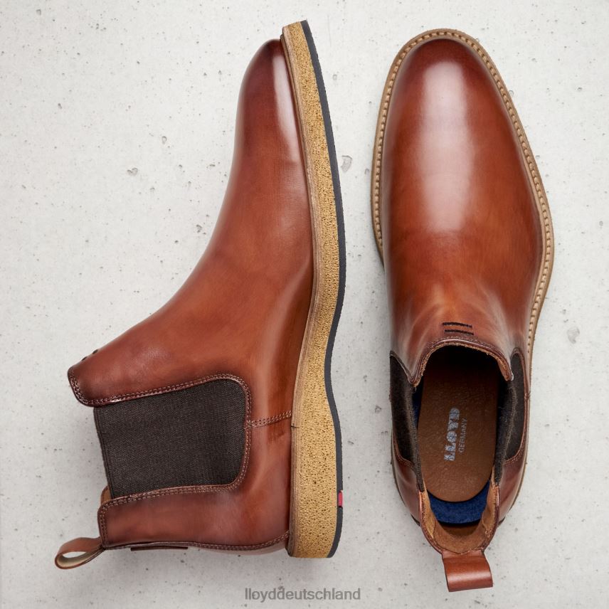 Schuhe LLOYD oris braun Männer PV6Z0558