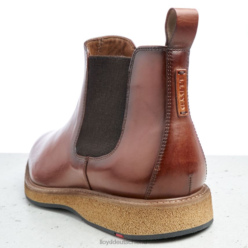 Schuhe LLOYD oris braun Männer PV6Z0558