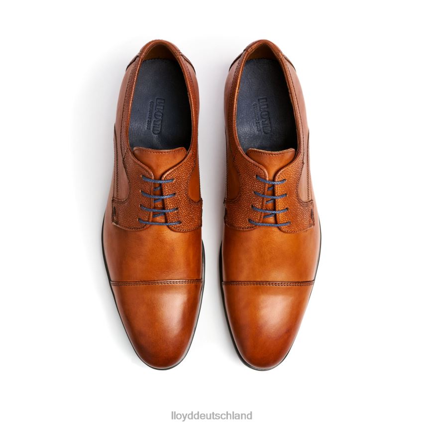 Schuhe LLOYD orwin braun Männer PV6Z095