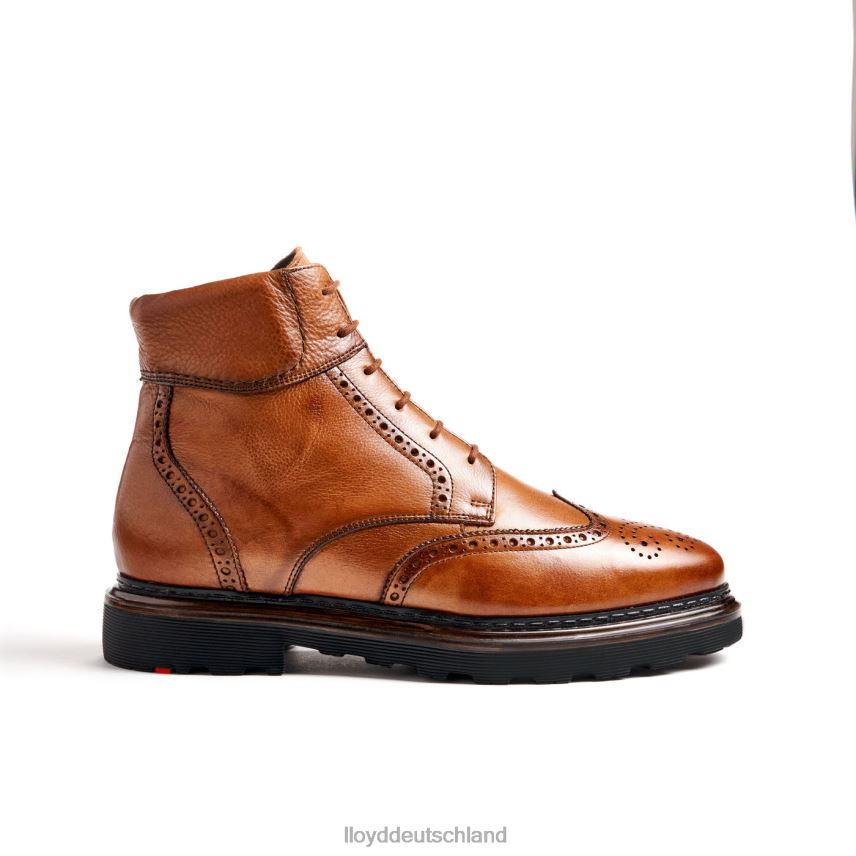 Schuhe LLOYD osko braun Männer PV6Z0502