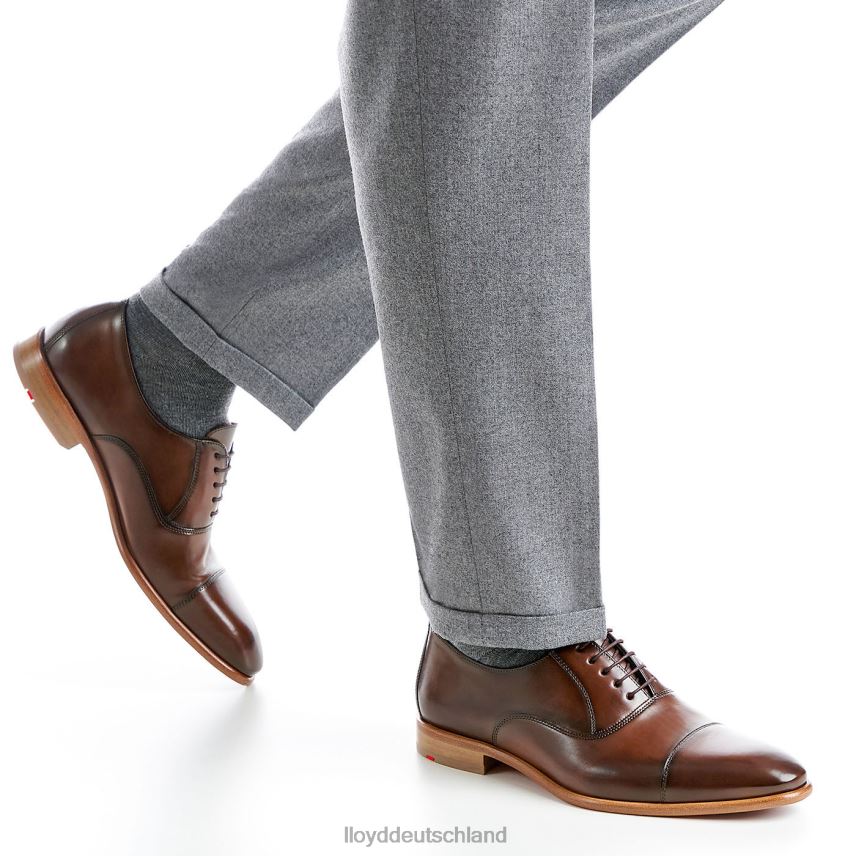 Schuhe LLOYD parcas braun Männer PV6Z0156