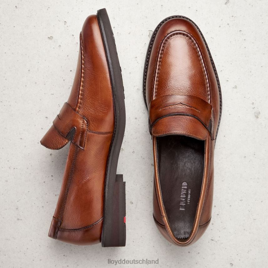 Schuhe LLOYD reg braun Männer PV6Z0169