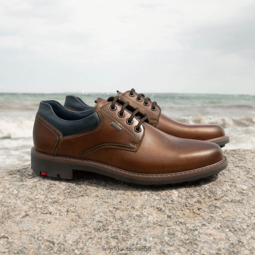 Schuhe LLOYD vanja braun Männer PV6Z0576