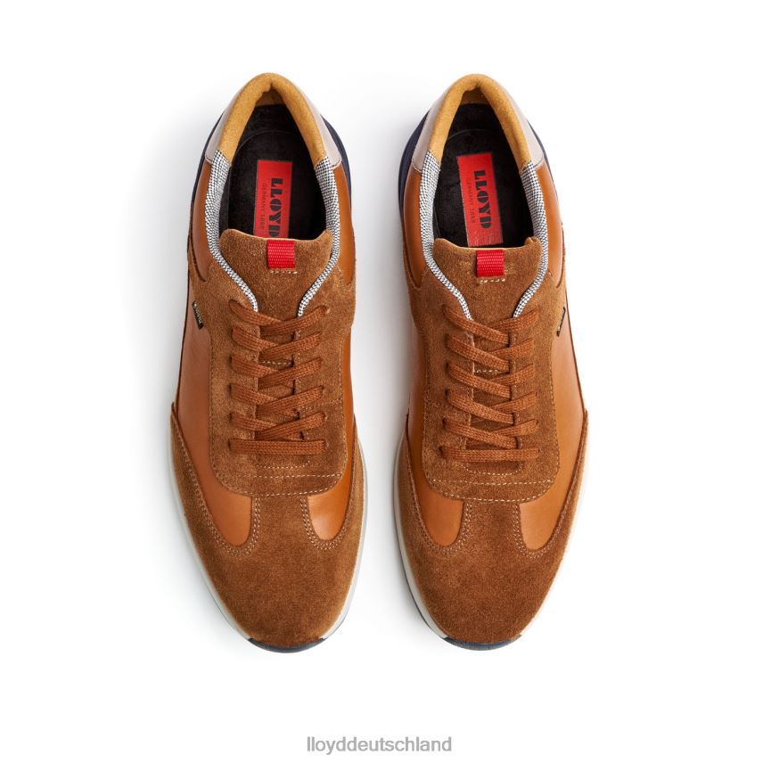 Schuhe LLOYD vedea braun Männer PV6Z0322