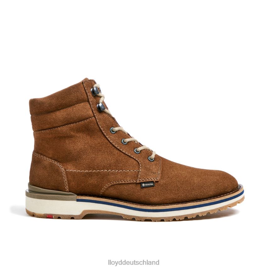 Schuhe LLOYD veit braun Männer PV6Z0520
