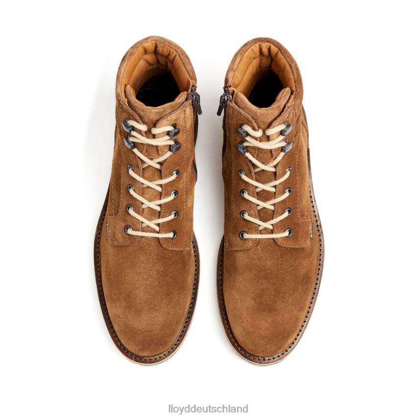 Schuhe LLOYD veit braun Männer PV6Z0520