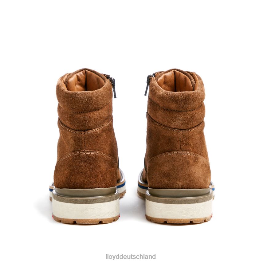 Schuhe LLOYD veit braun Männer PV6Z0520