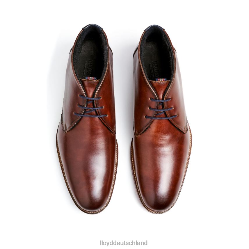 Schuhe LLOYD verdon braun Männer PV6Z0138