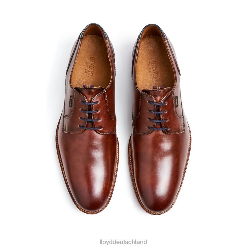 Schuhe LLOYD vickers braun Männer PV6Z0122