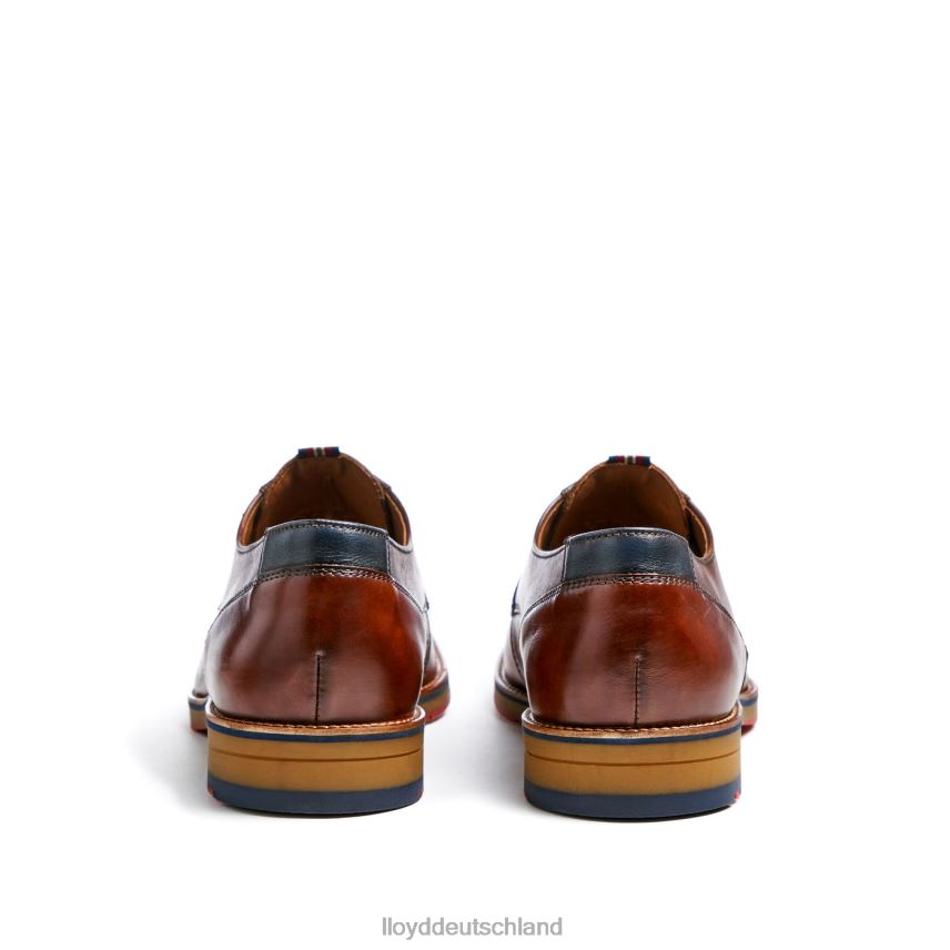 Schuhe LLOYD vickers braun Männer PV6Z0122