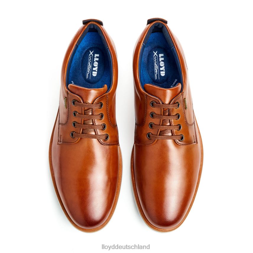 Schuhe LLOYD vin braun Männer PV6Z0139