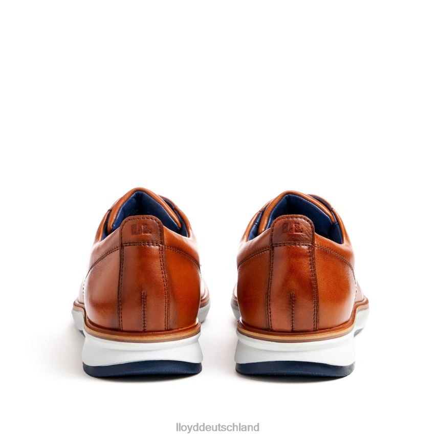 Schuhe LLOYD vin braun Männer PV6Z0139