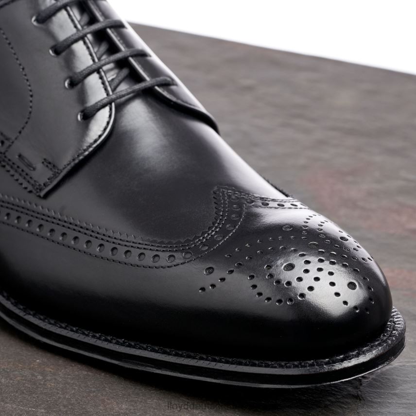 Schuhe LLOYD warwick Schwarz Männer PV6Z018