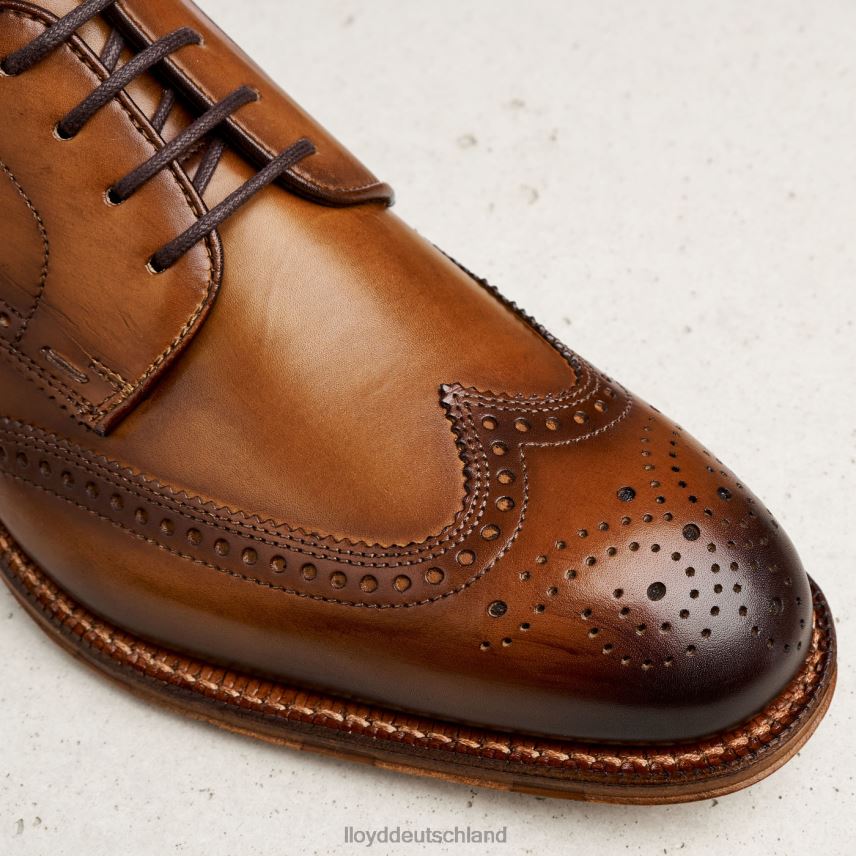 Schuhe LLOYD warwick braun Männer PV6Z074