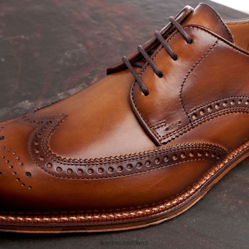 Schuhe LLOYD warwick braun Männer PV6Z074