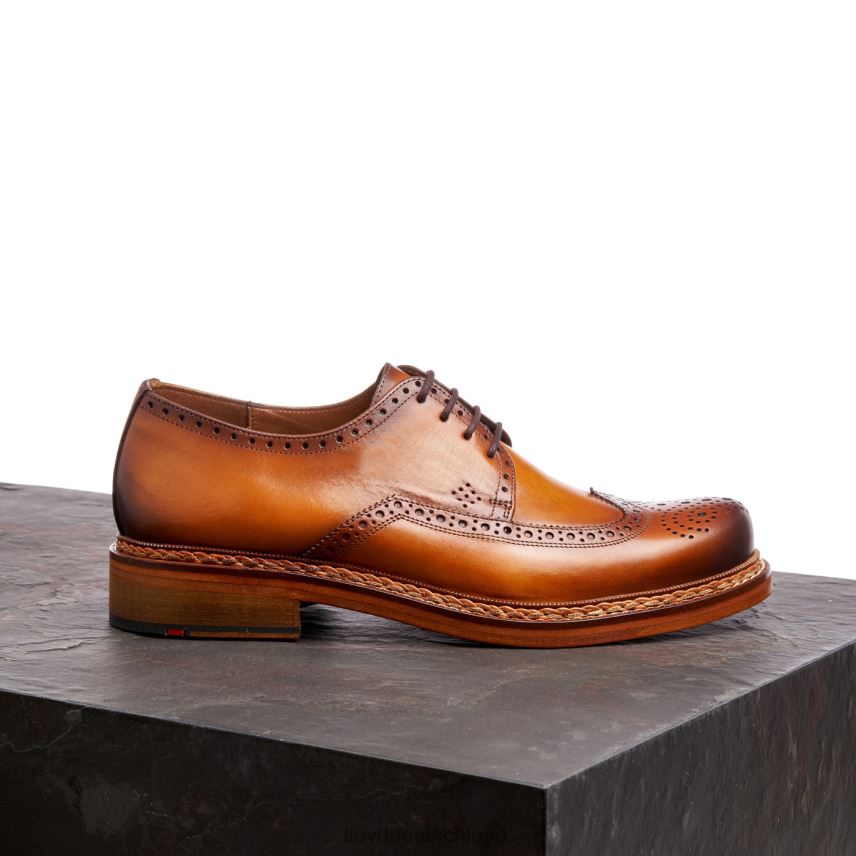 Schuhe LLOYD wotan braun Männer PV6Z0163