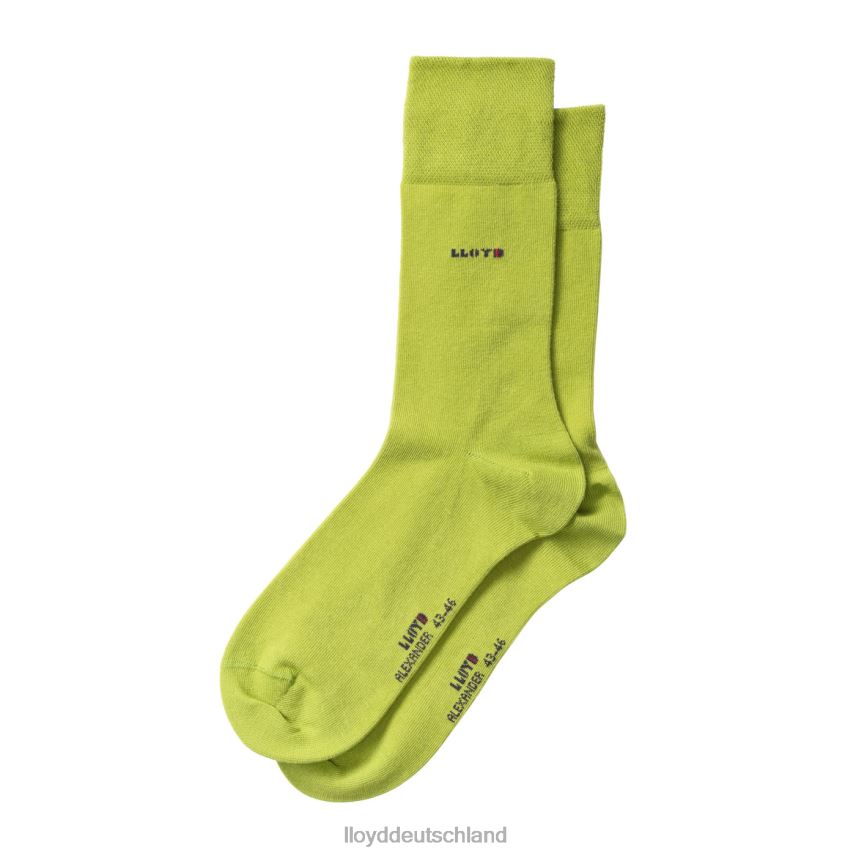 Zubehör LLOYD Alexander Grün Männer PV6Z0686