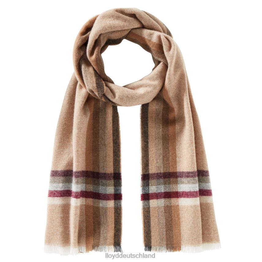 Zubehör LLOYD Kaschmirschuppe Beige Männer PV6Z0701