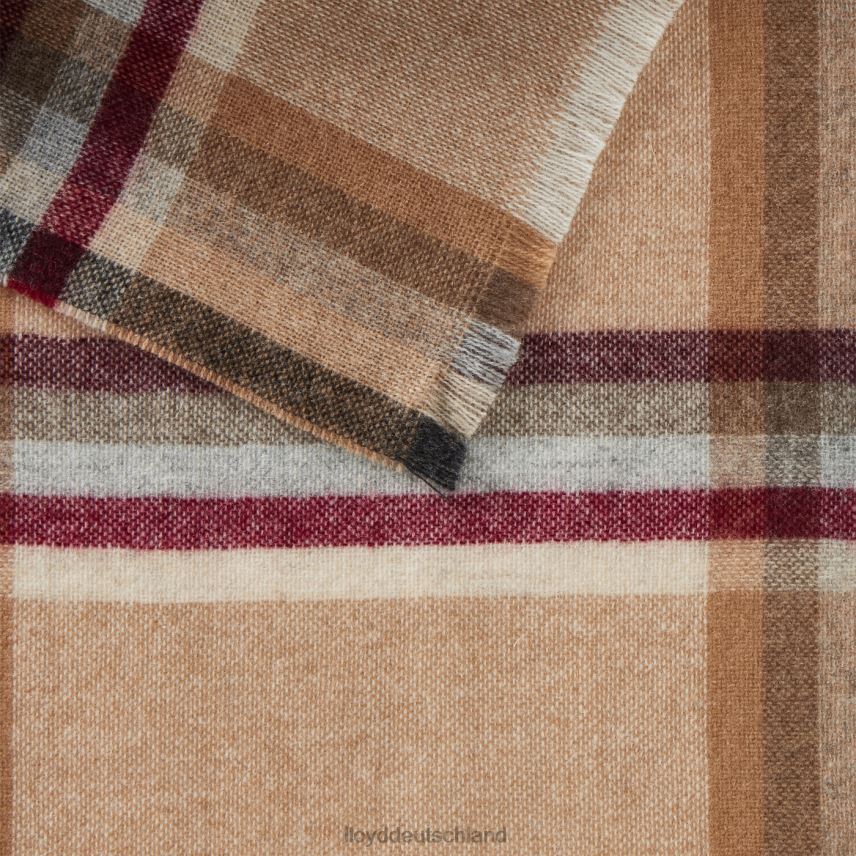 Zubehör LLOYD Kaschmirschuppe Beige Männer PV6Z0701