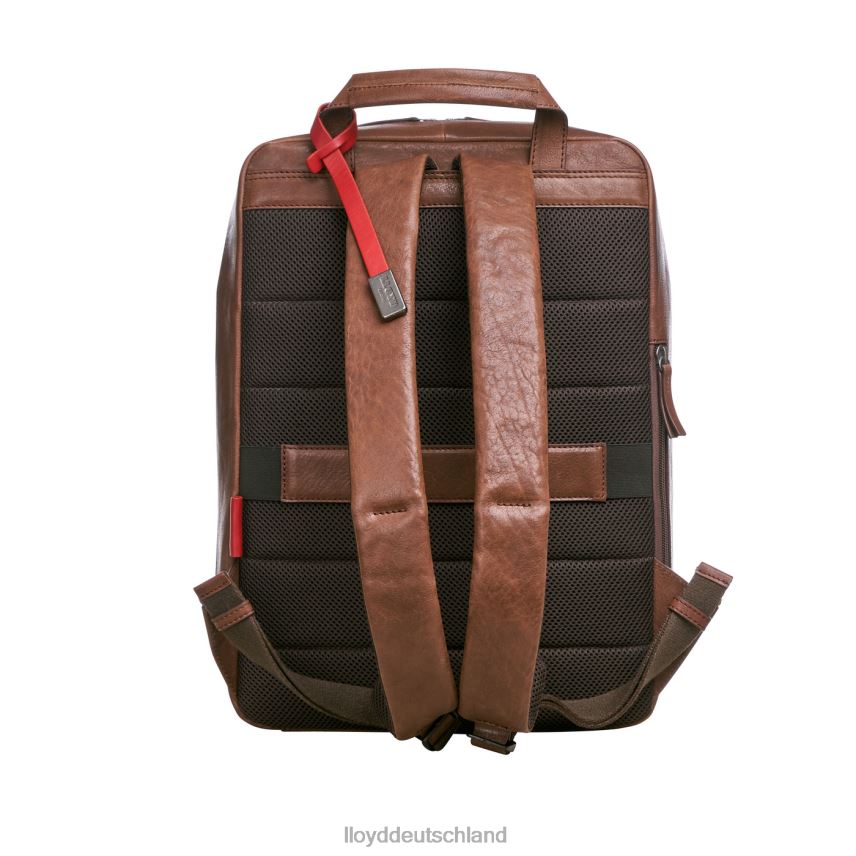 Zubehör LLOYD Rucksack braun Männer PV6Z0651