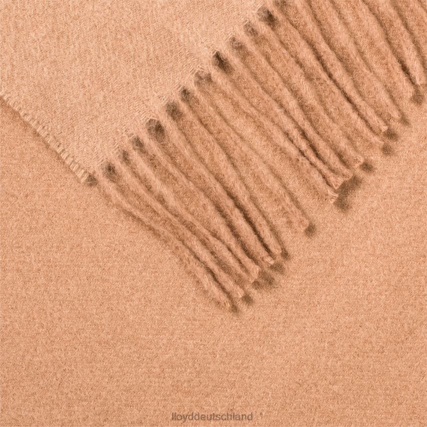 Zubehör LLOYD Schal aus Wolle/Kaschmir Beige Frauen PV6Z01306