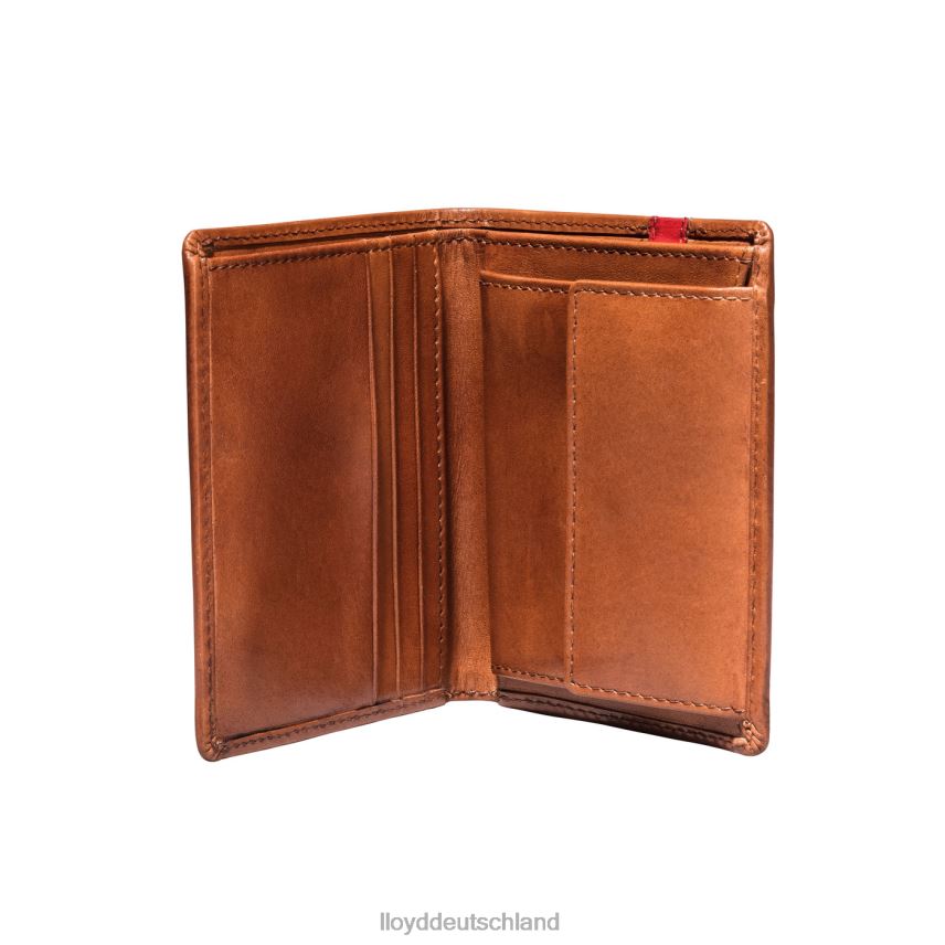 Zubehör LLOYD Tasche braun Männer PV6Z0656