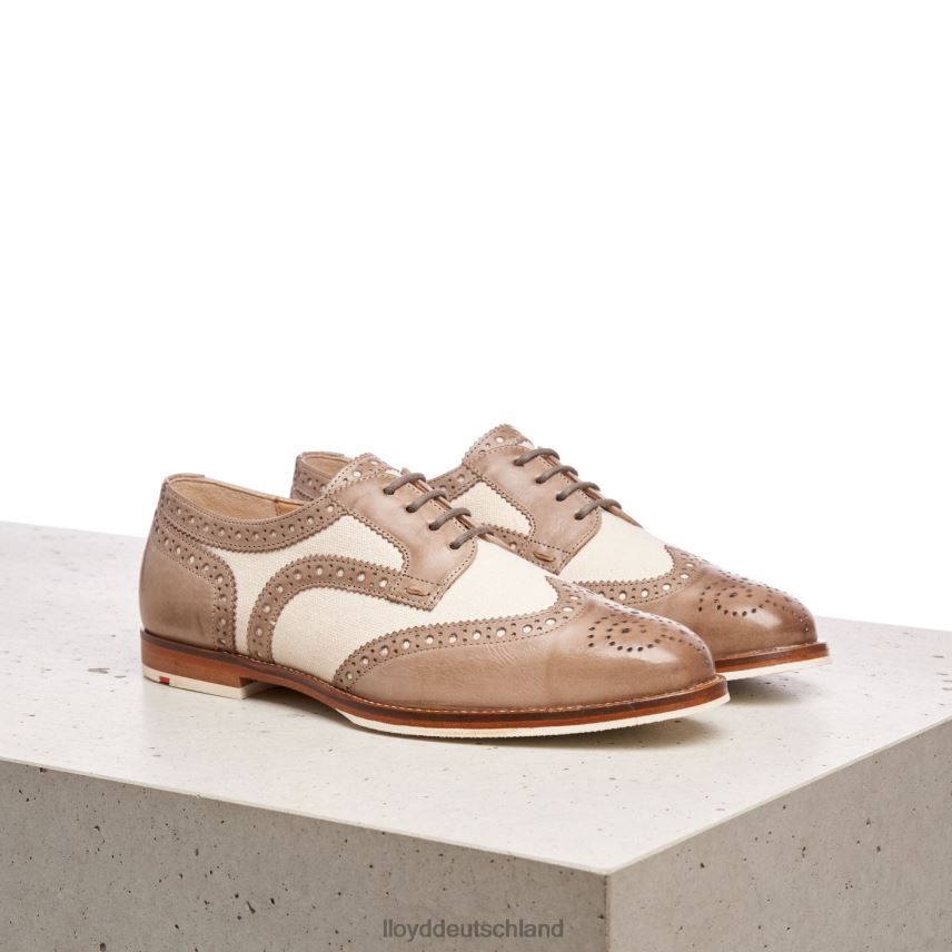 Schuhe LLOYD Halbschuhe aus Spitzenleder Beige Frauen PV6Z01065