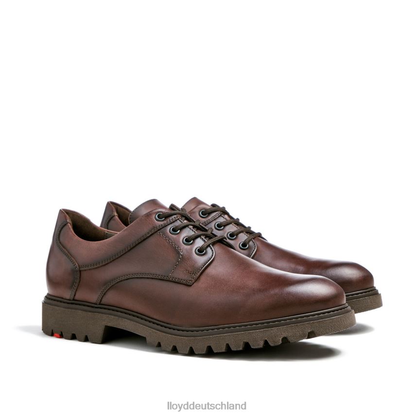 Schuhe LLOYD Dalton braun Männer PV6Z039