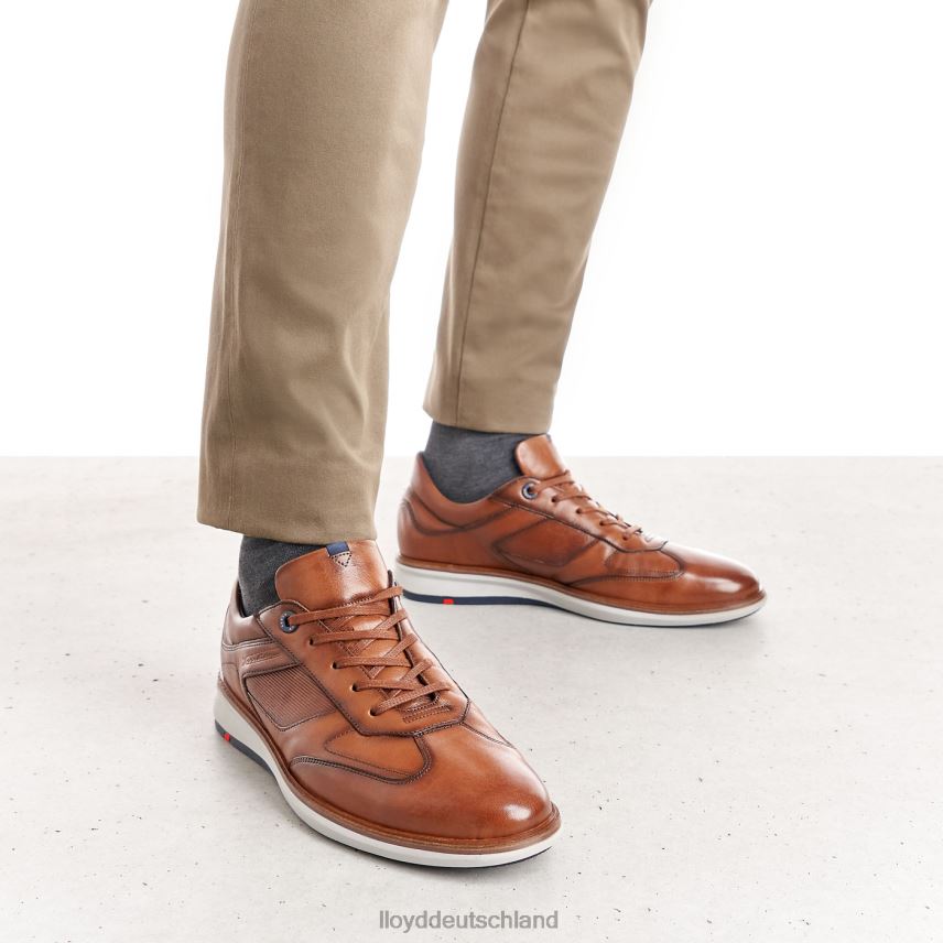 Schuhe LLOYD Matten braun Männer PV6Z0261