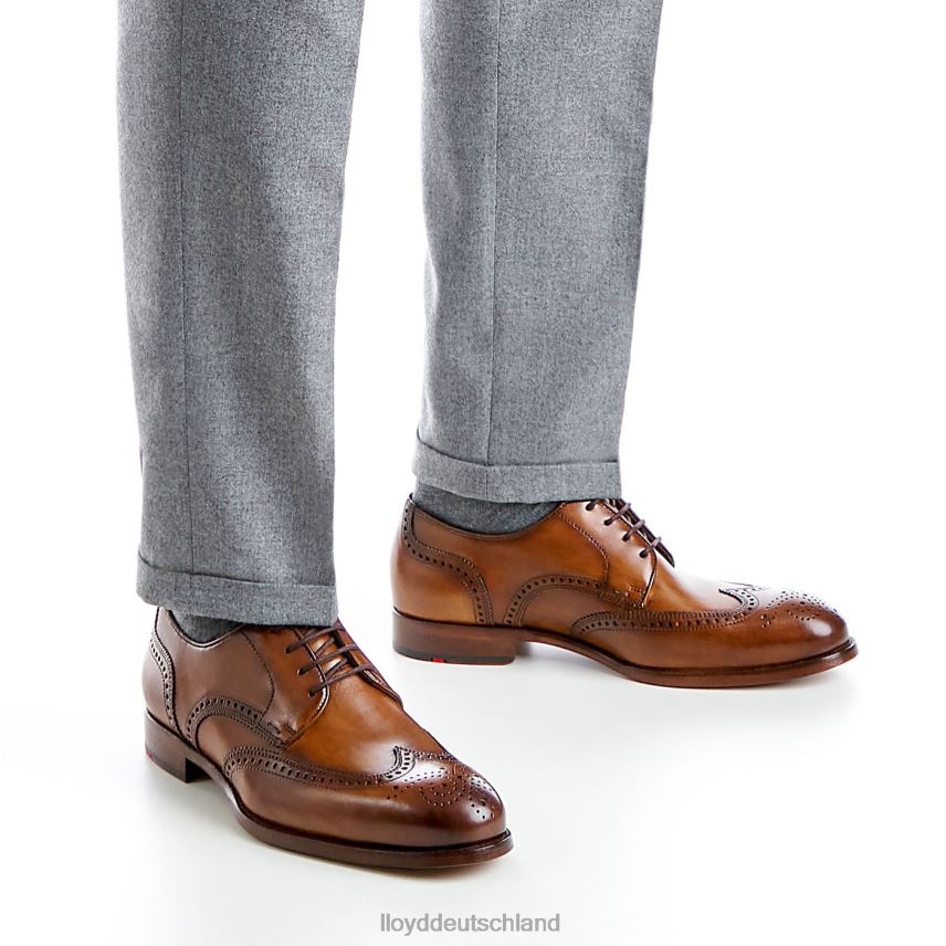 Schuhe LLOYD Sheridan braun Männer PV6Z0205