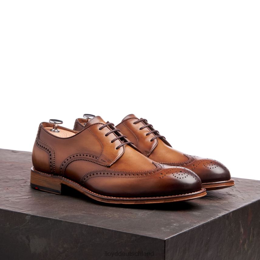 Schuhe LLOYD warwick braun Männer PV6Z074