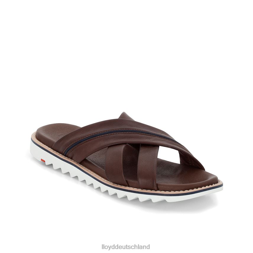 Schuhe LLOYD Edvino braun Männer PV6Z0584