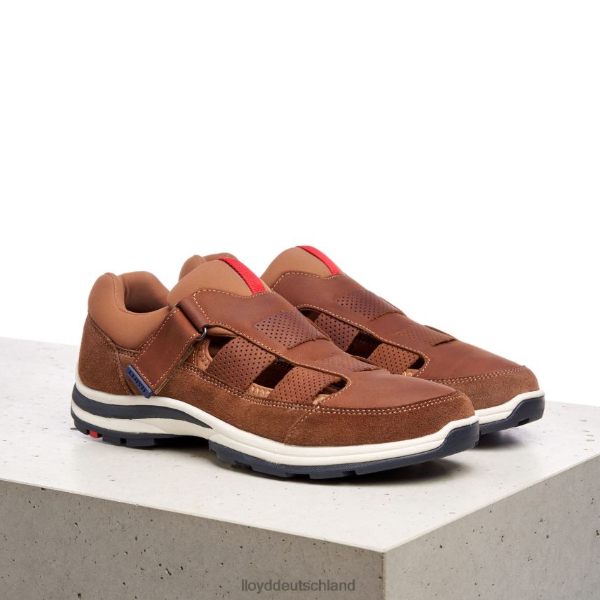 Schuhe LLOYD Elrado braun Männer PV6Z0625
