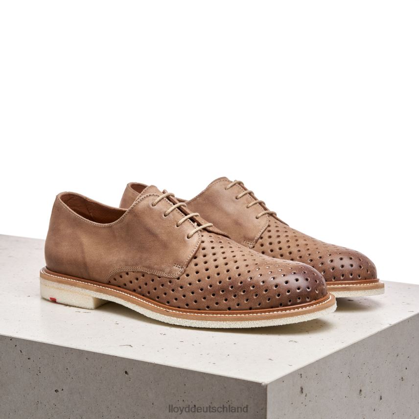 Schuhe LLOYD Parker braun Männer PV6Z0213