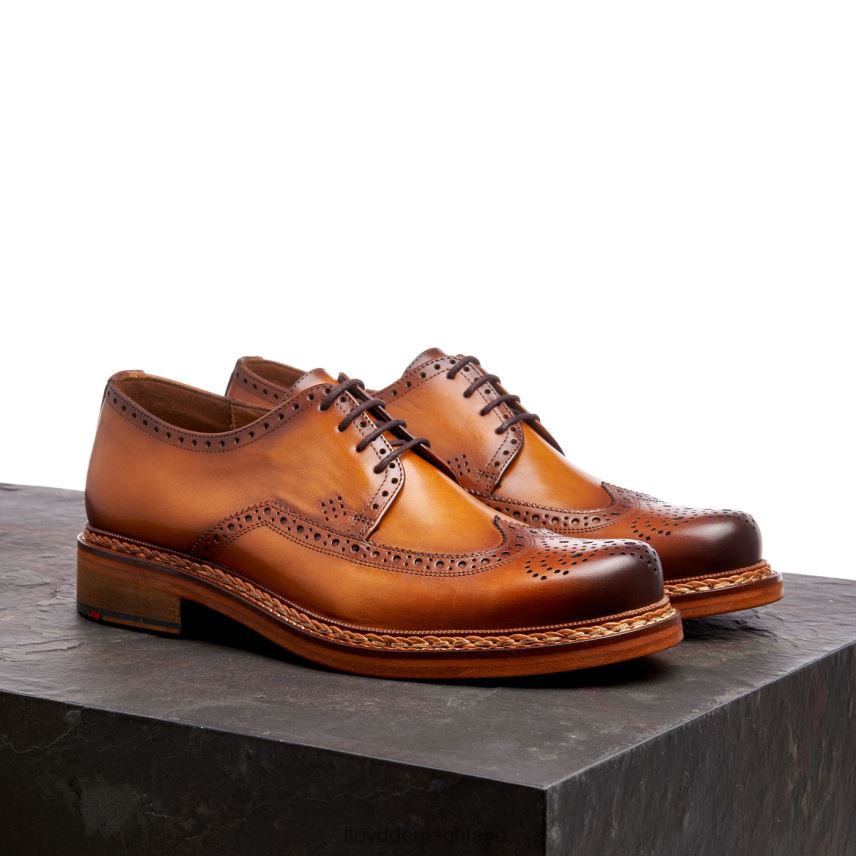 Schuhe LLOYD wotan braun Männer PV6Z0163
