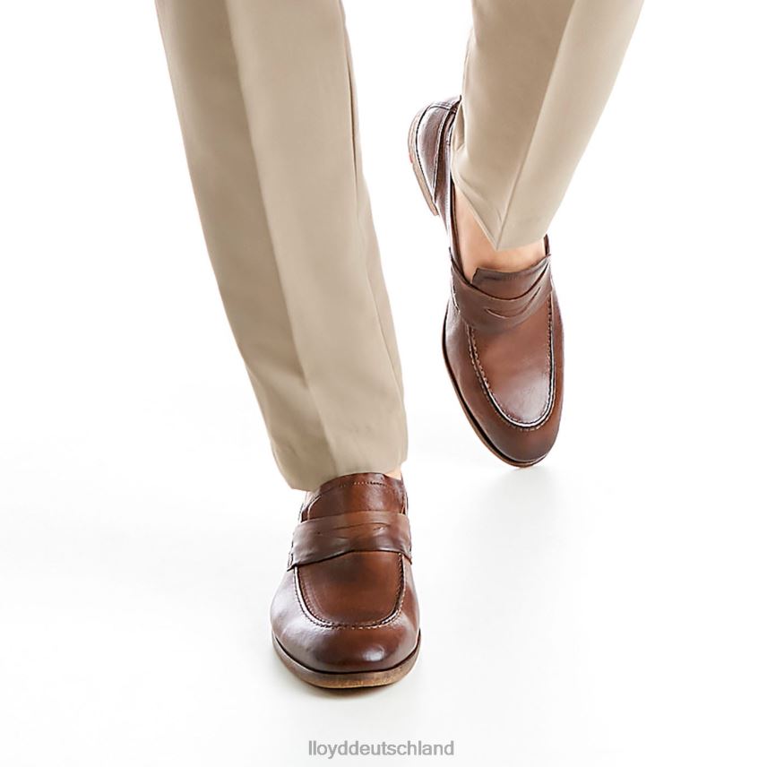 Schuhe LLOYD Ripan braun Männer PV6Z01348