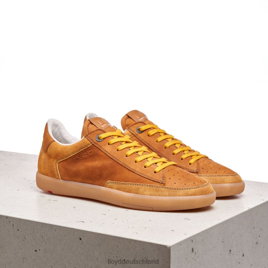 Schuhe LLOYD Baron braun Männer PV6Z0427