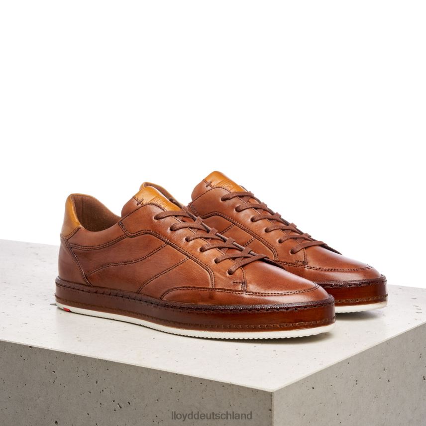 Schuhe LLOYD Blackburn braun Männer PV6Z0440
