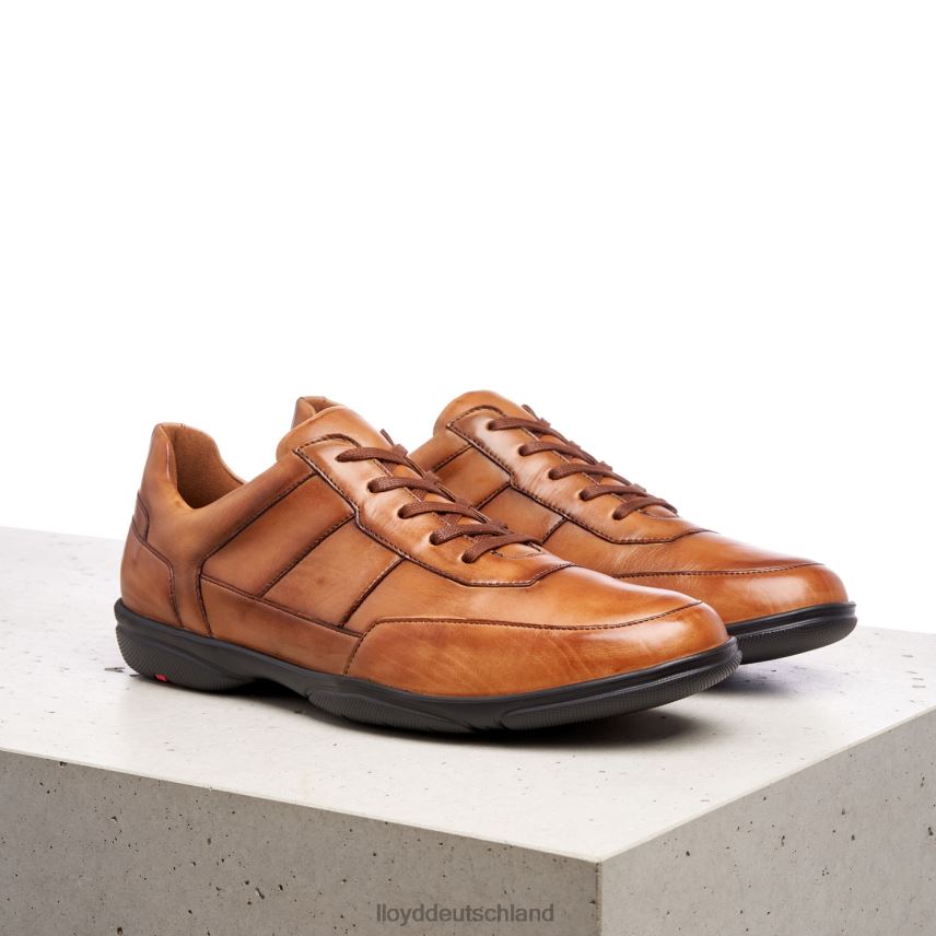 Schuhe LLOYD Bloy braun Männer PV6Z0375
