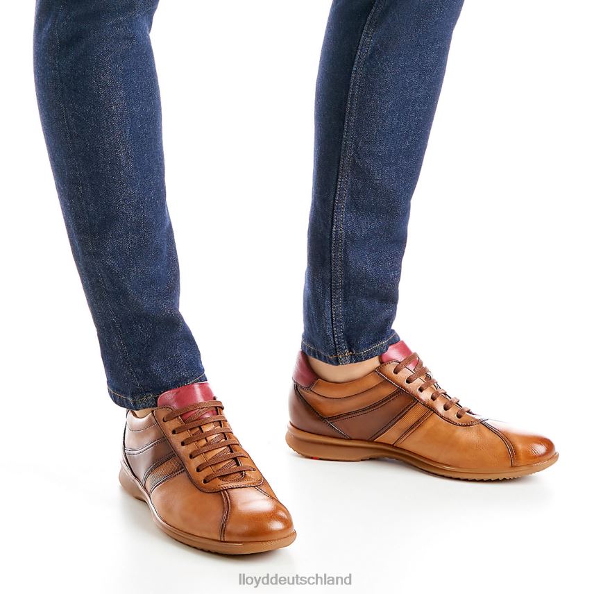 Schuhe LLOYD Davos braun Männer PV6Z0308
