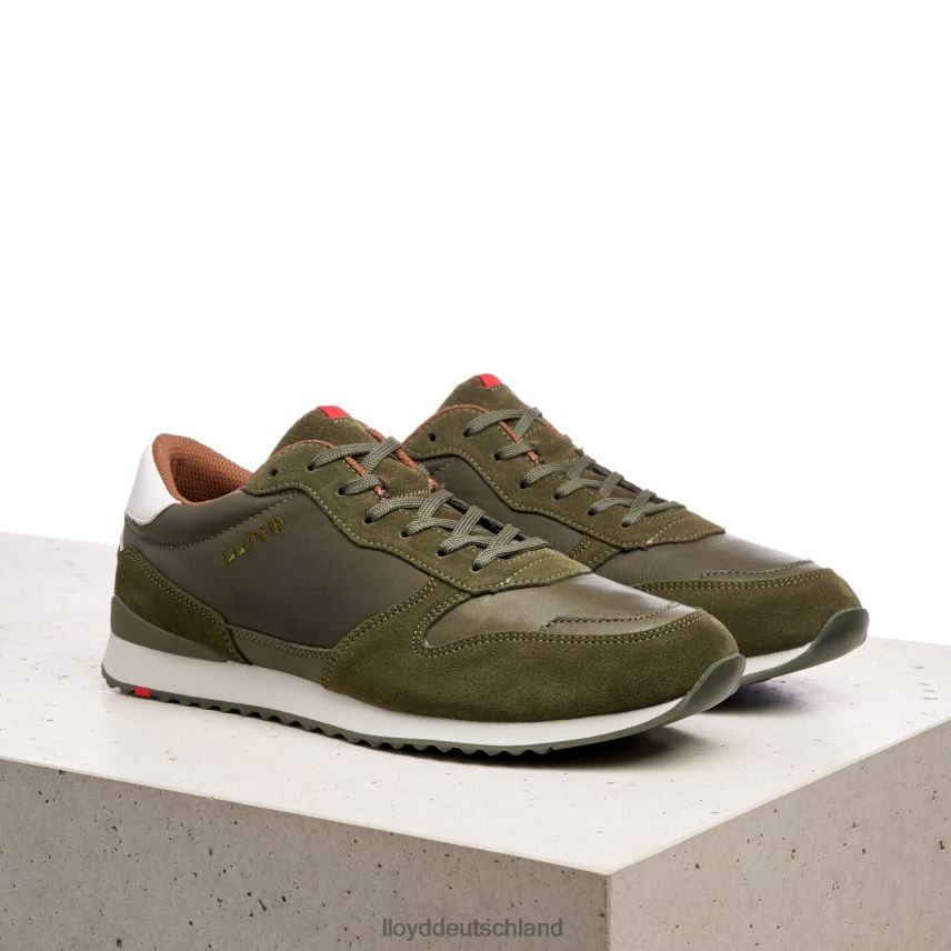 Schuhe LLOYD Edmond Grün Männer PV6Z0393